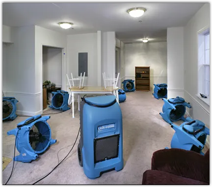 Water Damage Restoration services in La Marque, TX