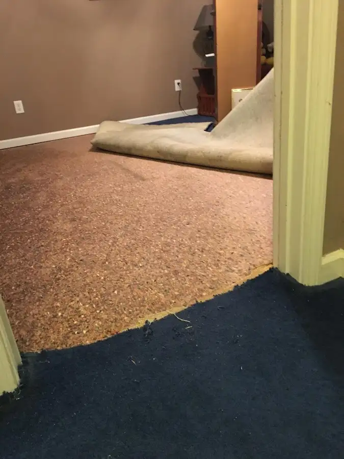 Carpet pad removal revealing water damage during Water Mitigation Services in La Marque