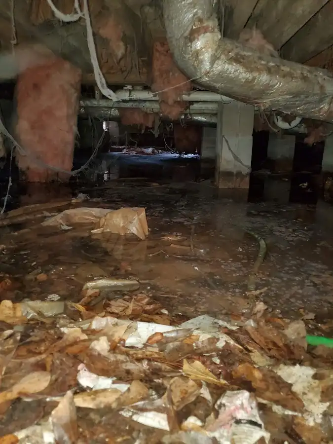 Crawl space flood assessment for Leak Detection & Repair in La Marque